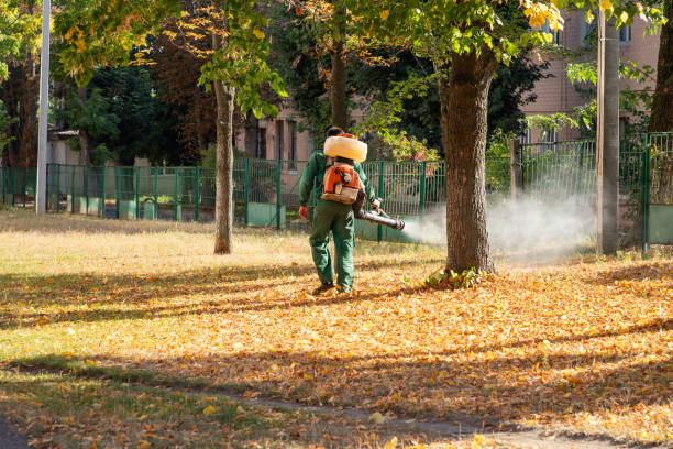 Best Wasp Removal Services  in Middletown, NY