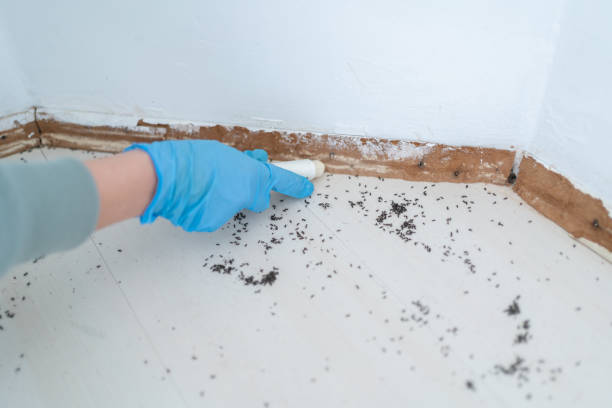 Best Pest Control Treatment  in Middletown, NY